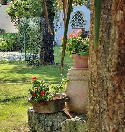 Mediterraneo 3*