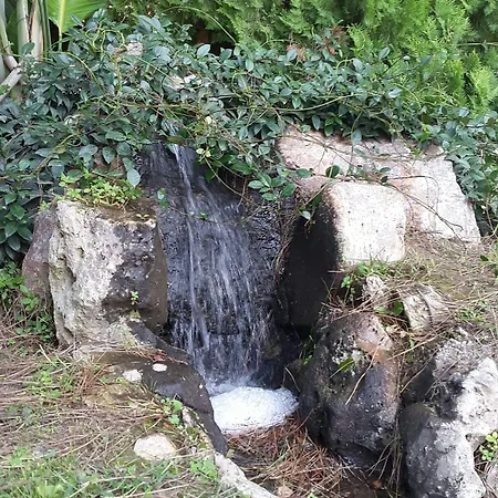 地中海酒店 3* 夸利亚诺