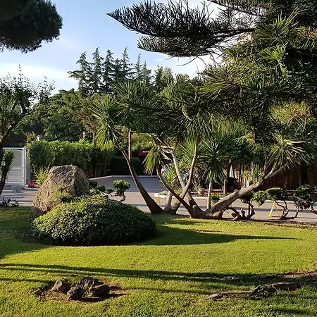 Mediterraneo Hotel 3*